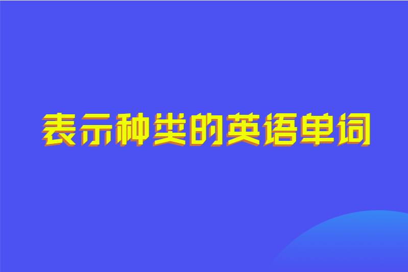 表示种类的英语单词