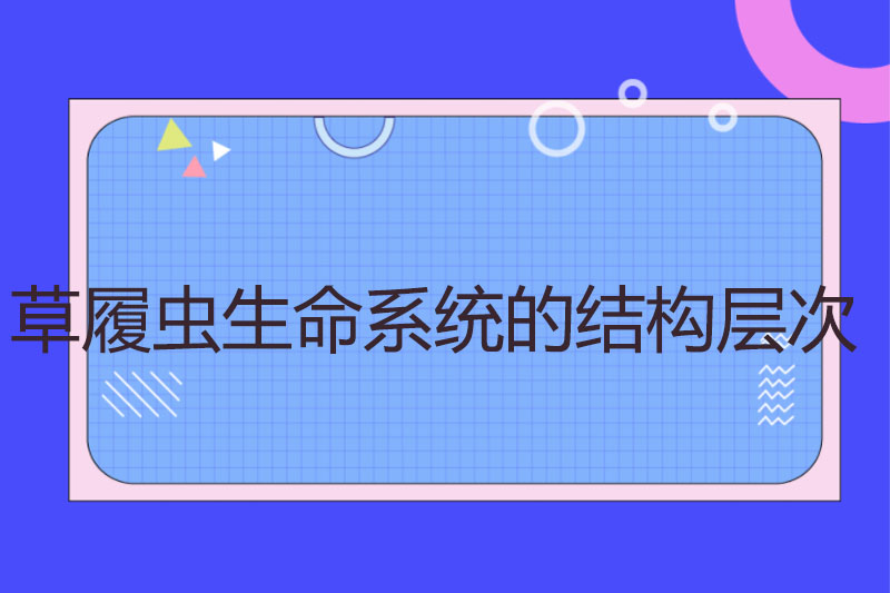 草履虫生命系统的结构层次