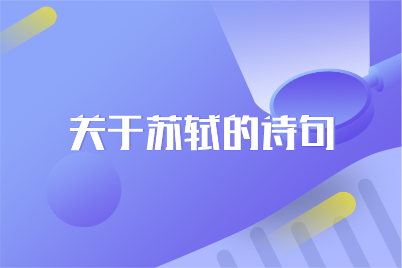 关于苏轼的诗句