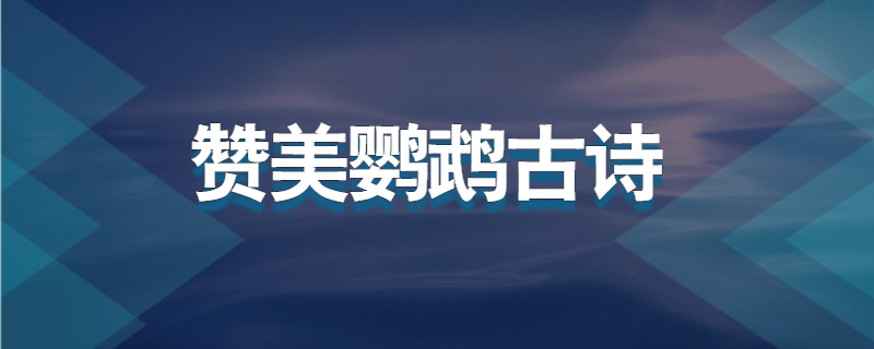 赞美鹦鹉古诗