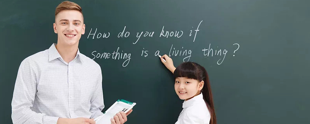 小学教师资格证好考吗