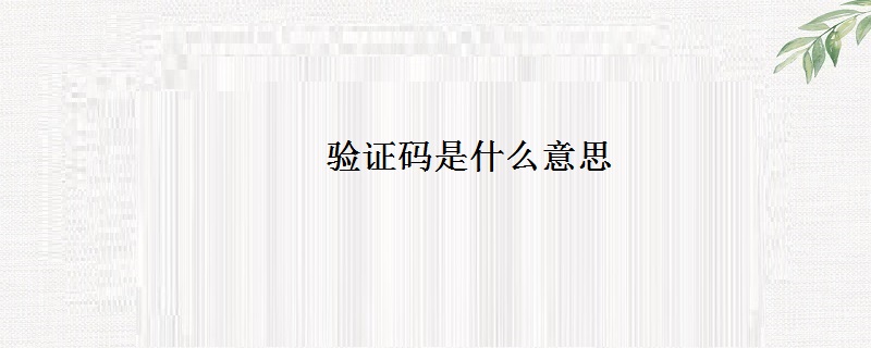 验证码是什么意思