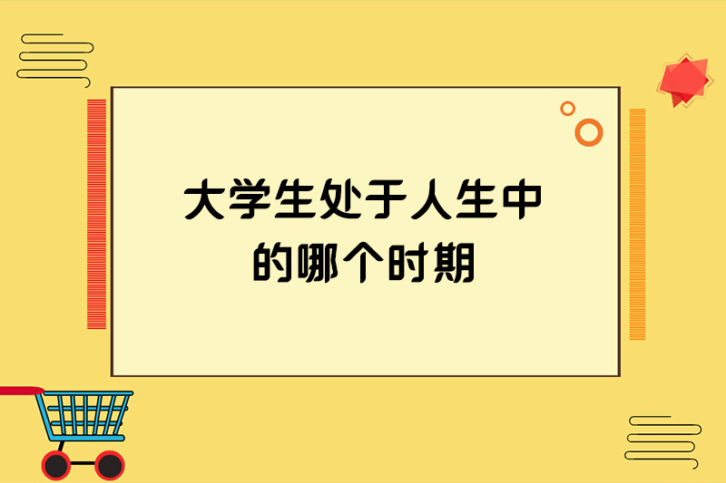 大学生处于人生中的哪个时期