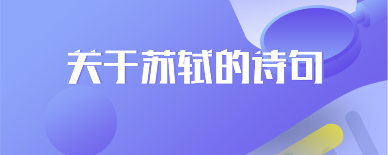 关于苏轼的诗句