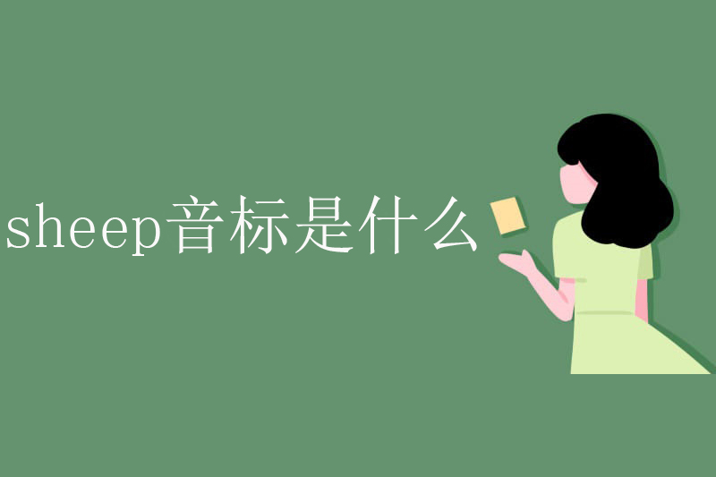sheep音标是什么