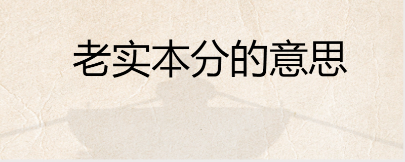 老实本分的意思