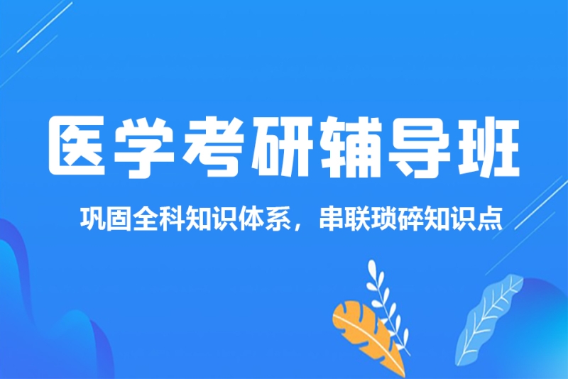 考研报录比：洞察教育行业的风云变换
