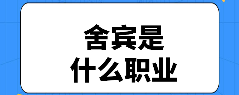 舍宾是什么职业