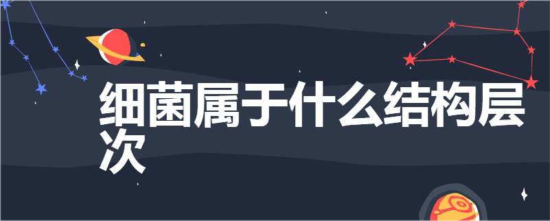 细菌属于什么结构层次