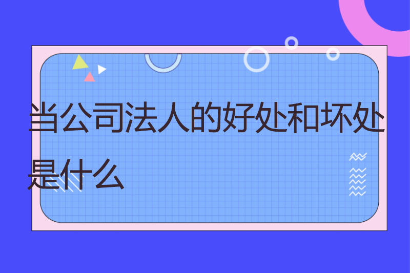 当公司法人的好处和坏处是什么