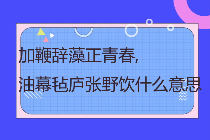 加鞭辞藻正青春, 油幕毡庐张野饮什么意思