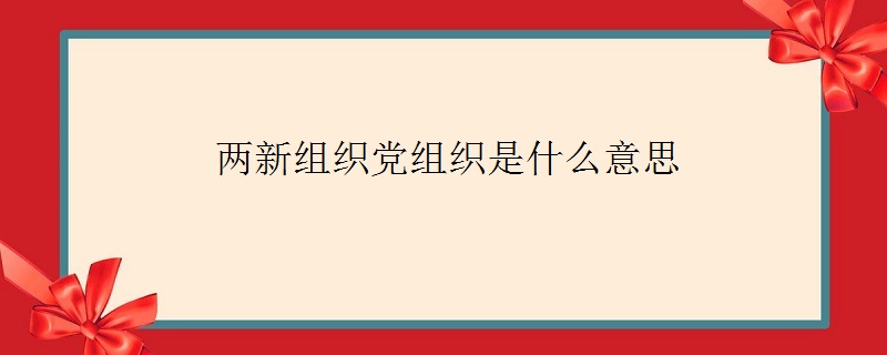 两新组织党组织是什么意思