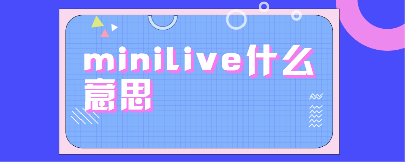 minilive什么意思