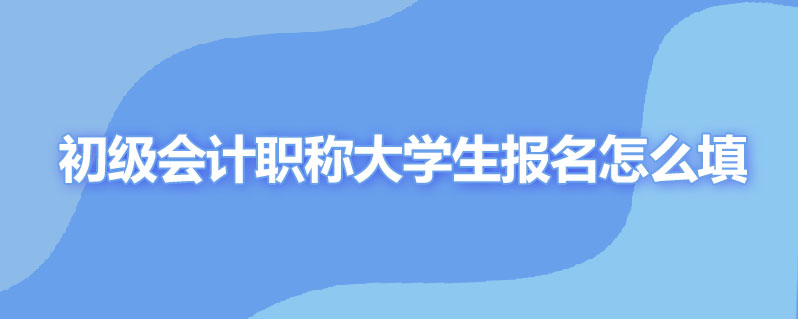 初级会计职称大学生报名怎么填