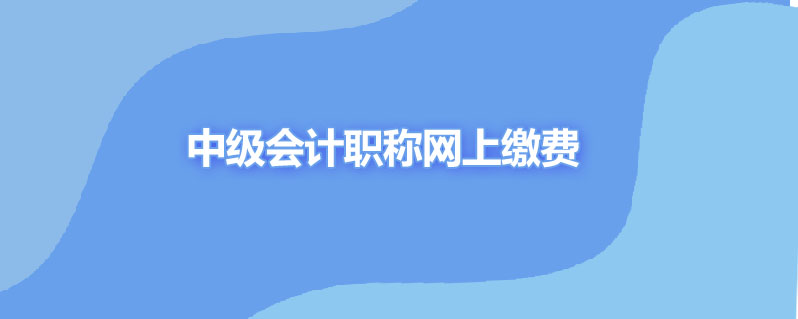 为什么中级会计职称网上缴费交不