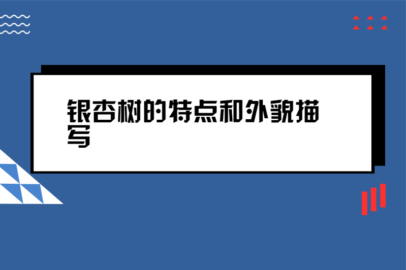 银杏树的特点和外貌描写