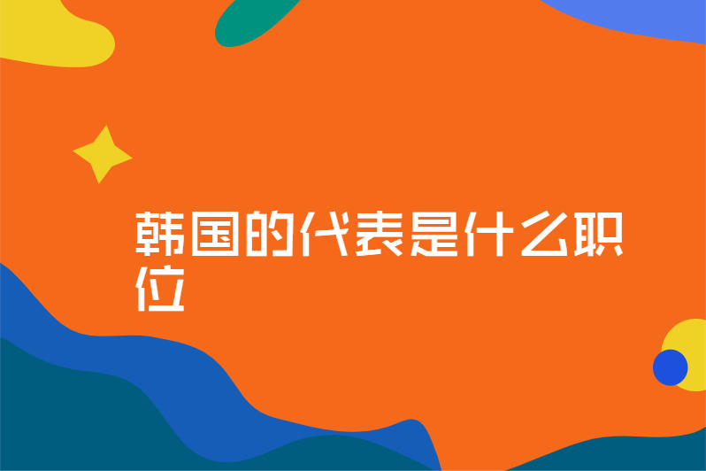 韩国的代表是什么职位