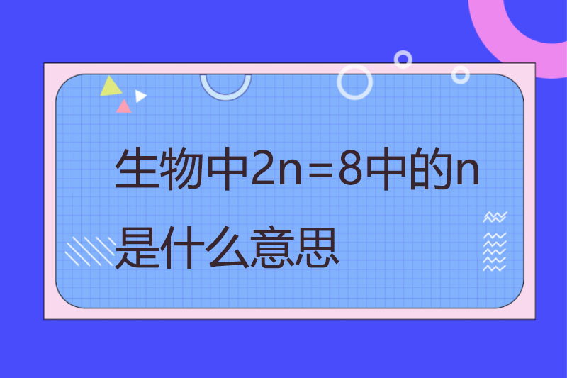 花衫对舞凤凰文是什么意思