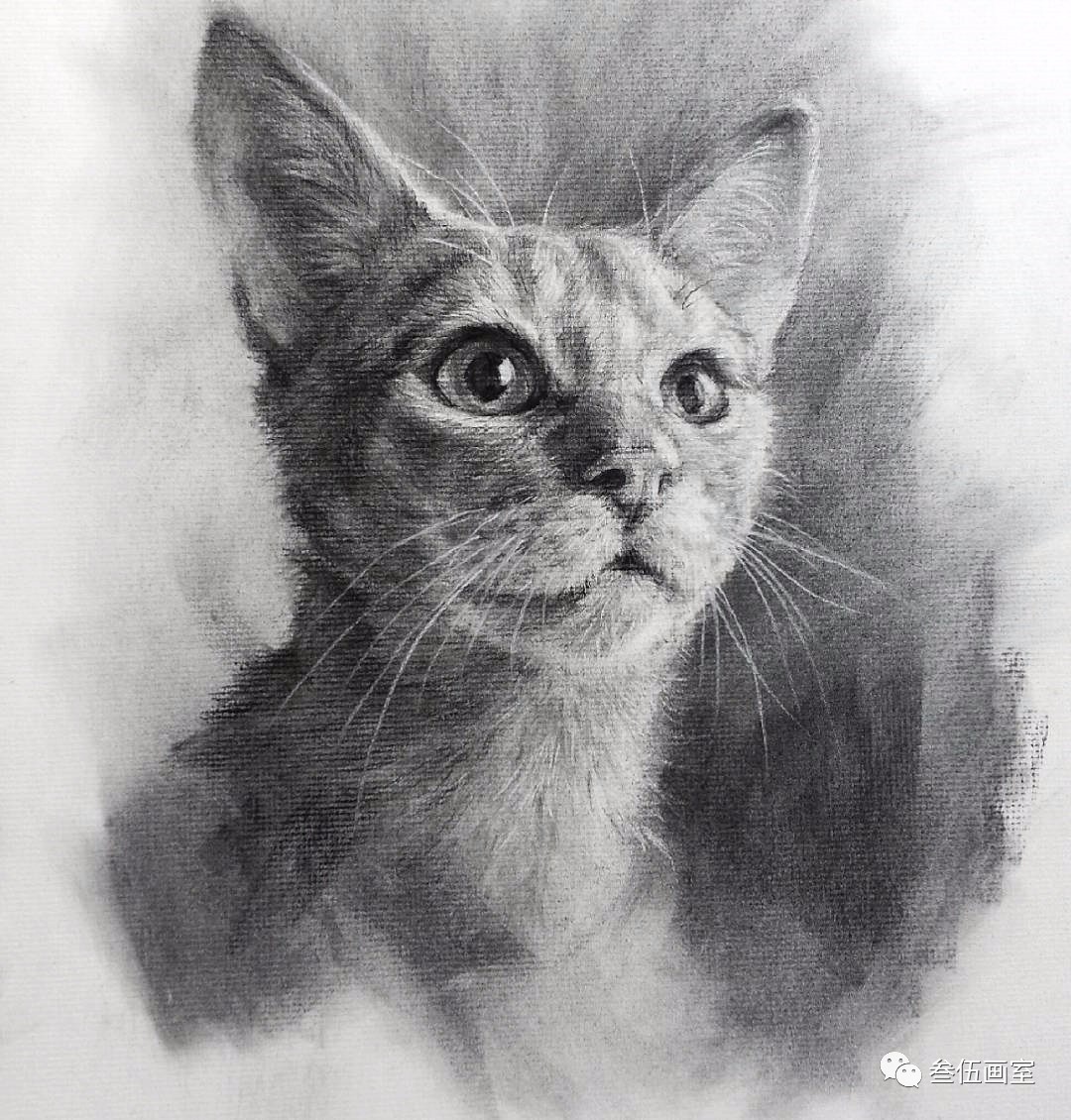 it软件开发工程师基础培训