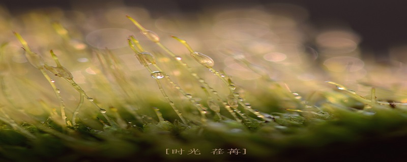 时光如梭,岁月荏苒,什么意思