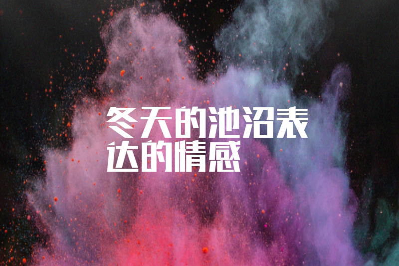 冬天的池沼表达的情感