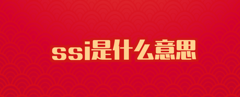 ssi是什么意思