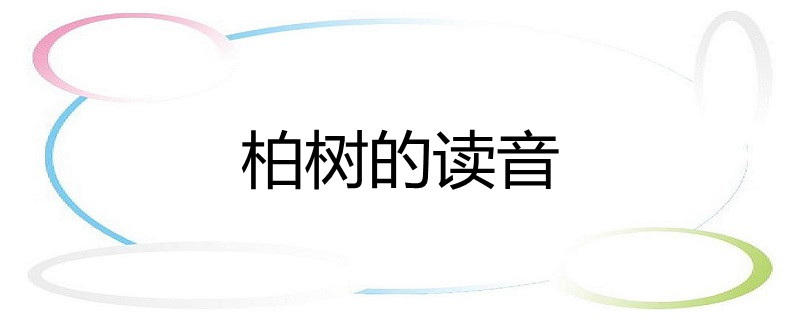 柏树的读音