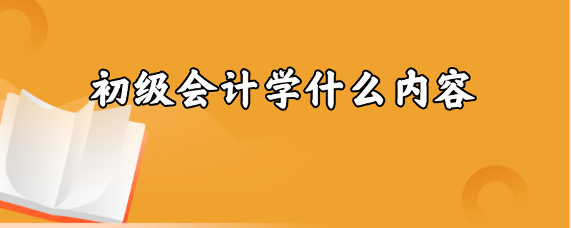 初级会计学什么内容