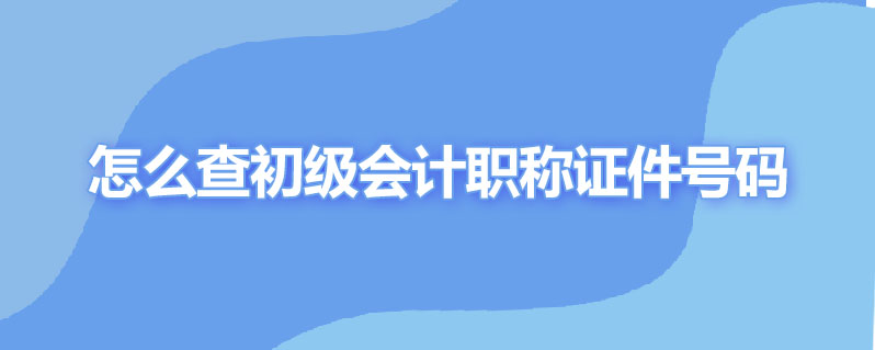 怎么查初级会计职称证件号码