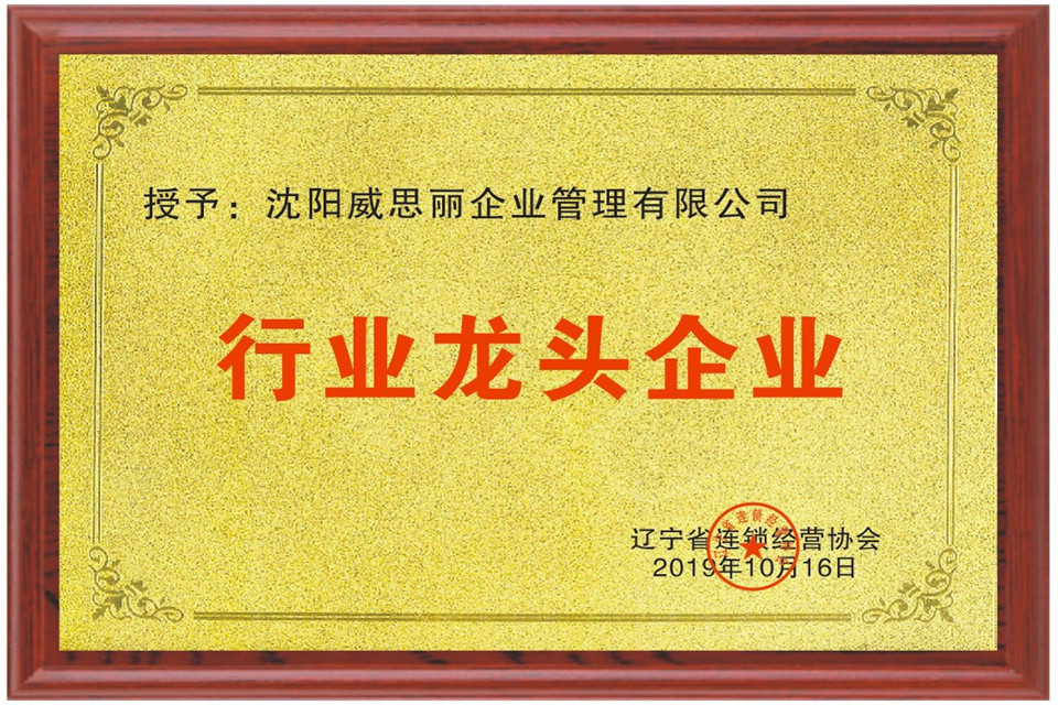 辽宁省连锁经营协会-行业龙头企业