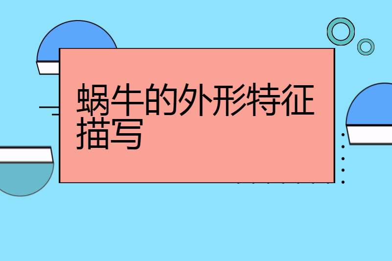 蜗牛的外形特征描写