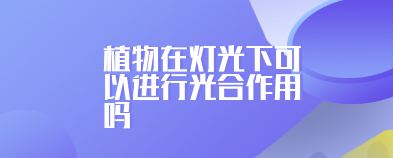 植物在灯光下可以进行光合作用吗