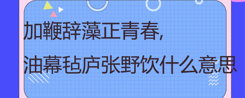 加鞭辞藻正青春, 油幕毡庐张野饮什么意思