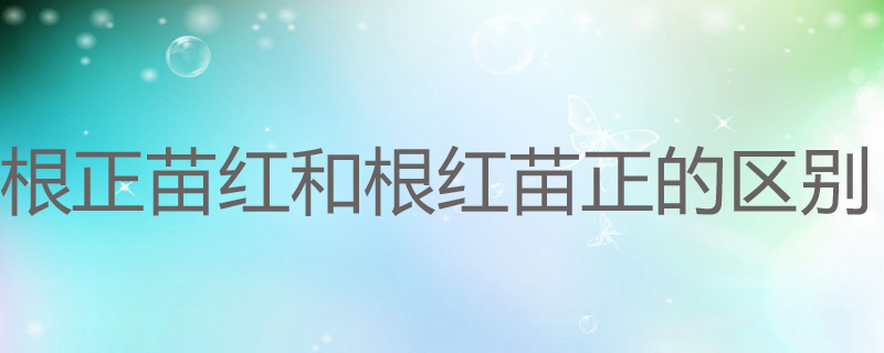根正苗红和根红苗正的区别