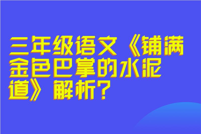 三年级语文《铺满金色巴掌的水泥道》解析?