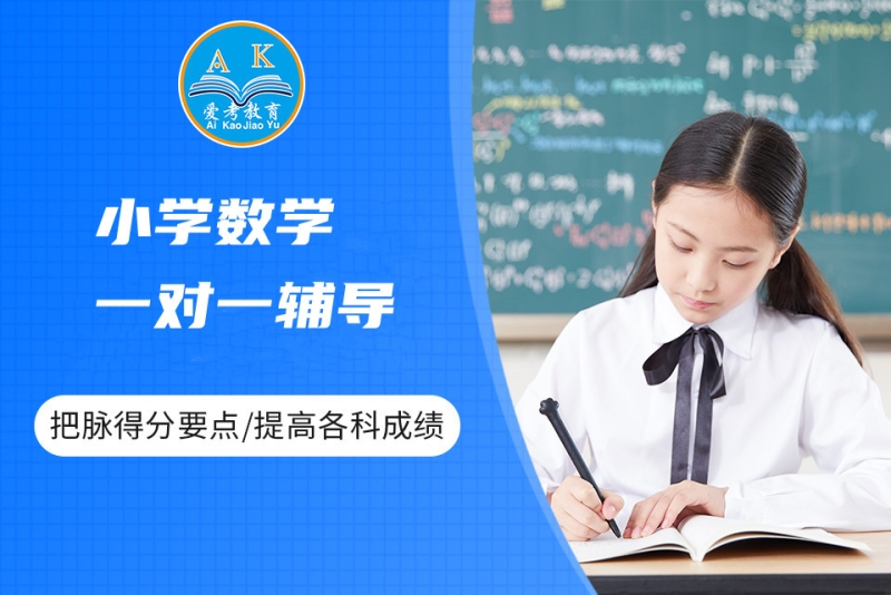 小学数学一对一辅导
