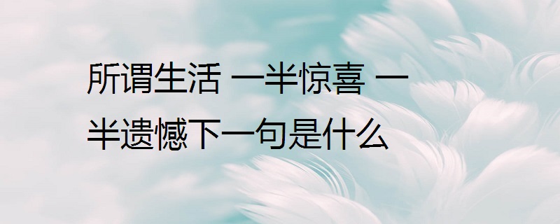 所谓生活 一半惊喜 一半遗憾下一句是什么