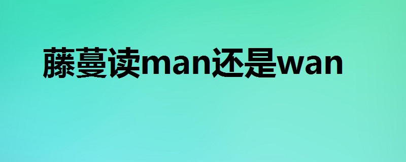 藤蔓读man还是wan