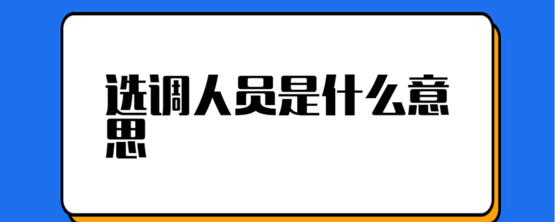 选调人员是什么意思