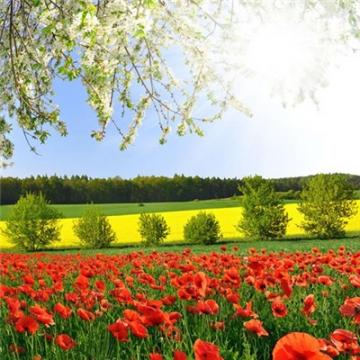 徐州会计出纳培训