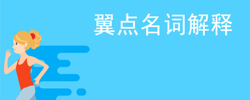 翼点名词解释