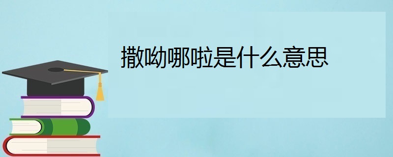 撒呦哪啦是什么意思