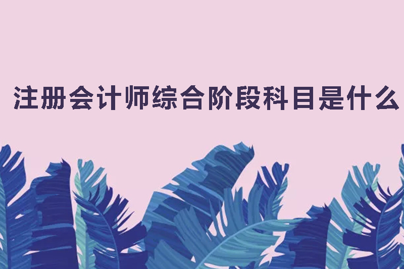 注册会计师综合阶段科目是什么