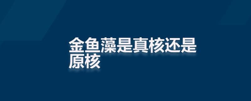 金鱼藻是真核还是原核