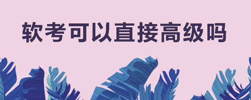 软考可以直接高级吗