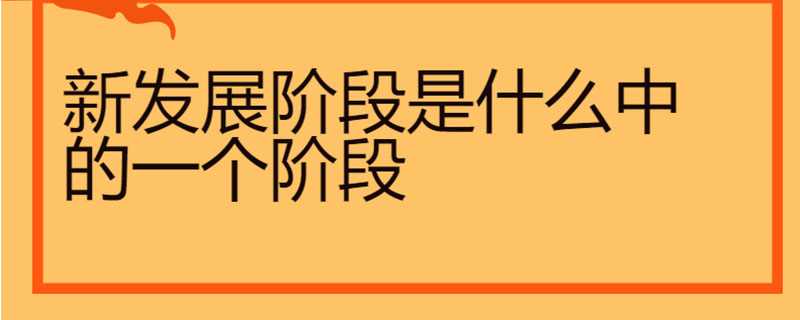 新发展阶段是什么中的一个阶段