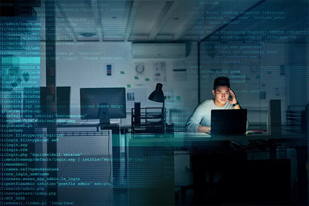 程序员分为哪几种