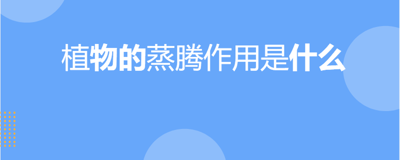 植物的蒸腾作用是什么