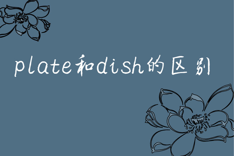 plate和dish的区别