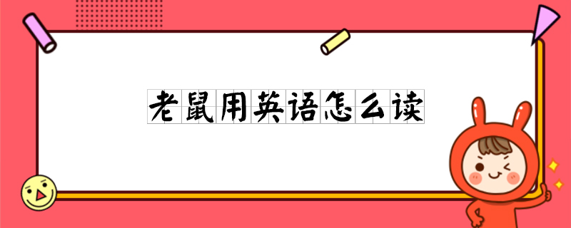 老鼠用英语怎么读